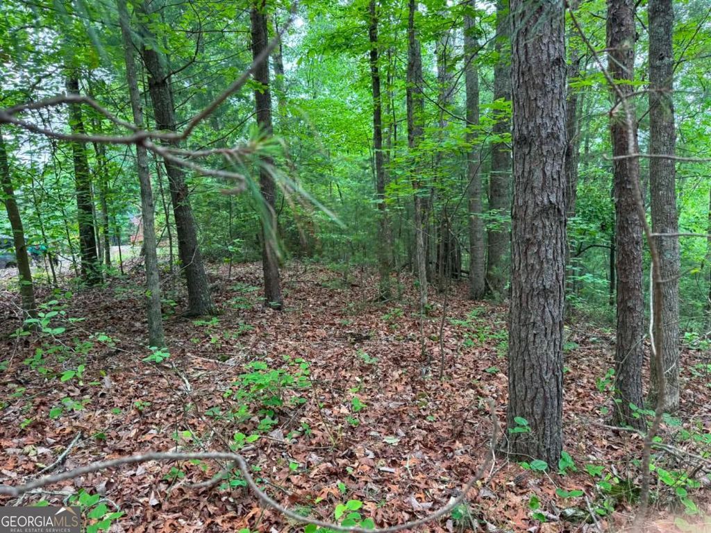 Photo of 1674 Hunter Drive, Ranger, GA 30734 (MLS # 10767215)