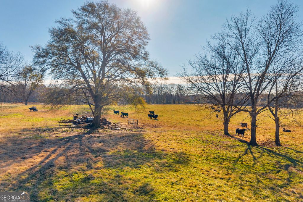 Photo of 1191 Plain View Road, Carnesville, GA 30521 (MLS # 10657606)