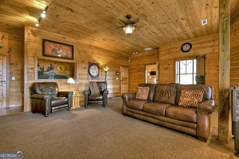 A home in Mineral Bluff