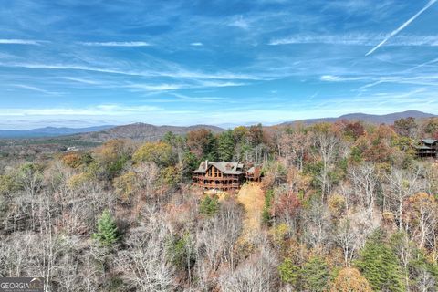 A home in Mineral Bluff