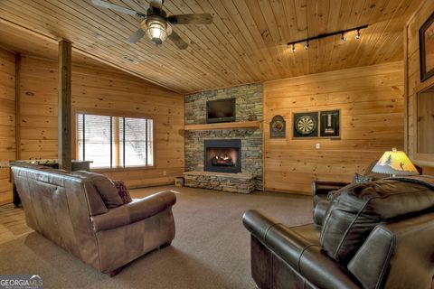 A home in Mineral Bluff