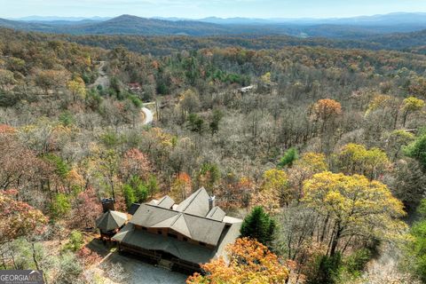 A home in Mineral Bluff