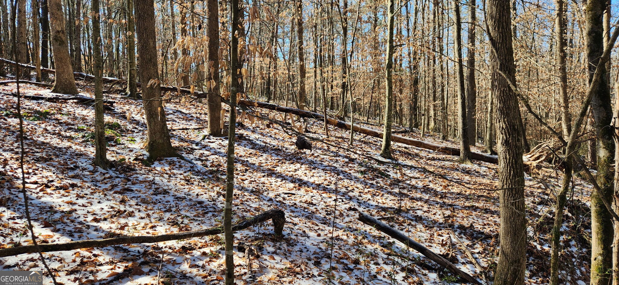 5500 Brookton Lula RD