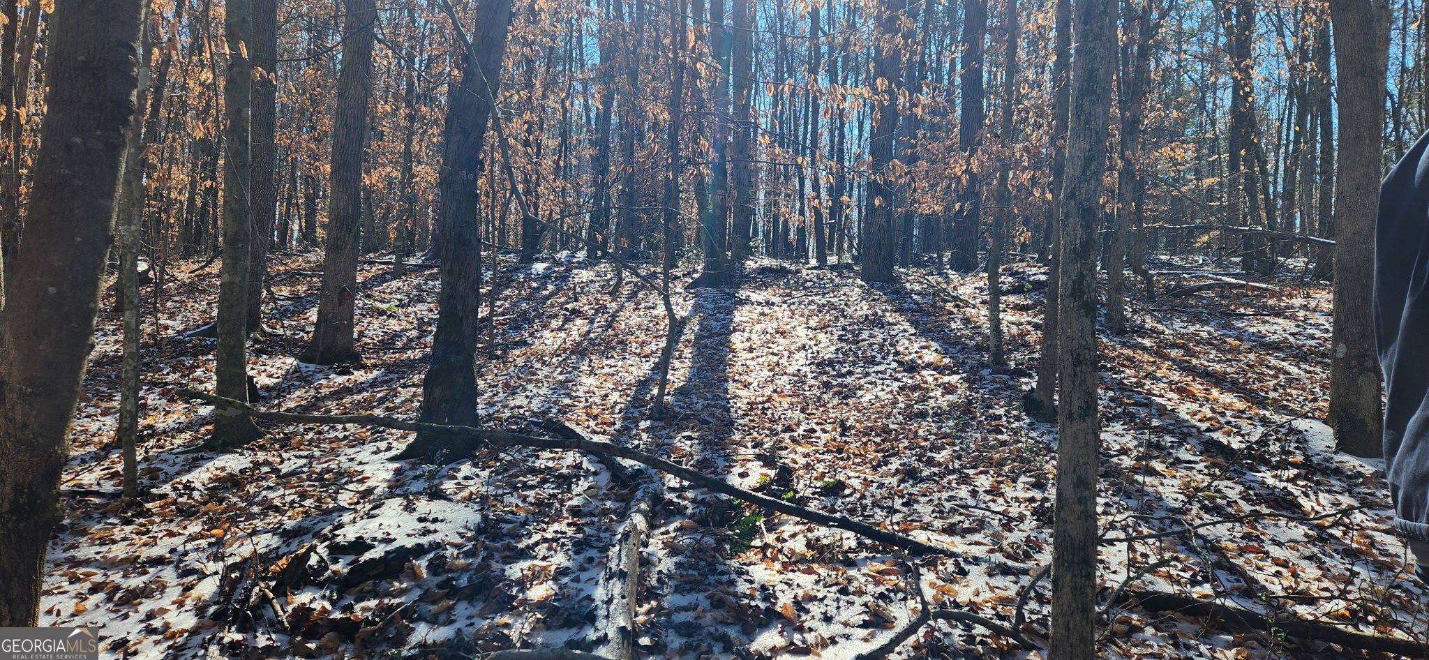 5500 Brookton Lula RD