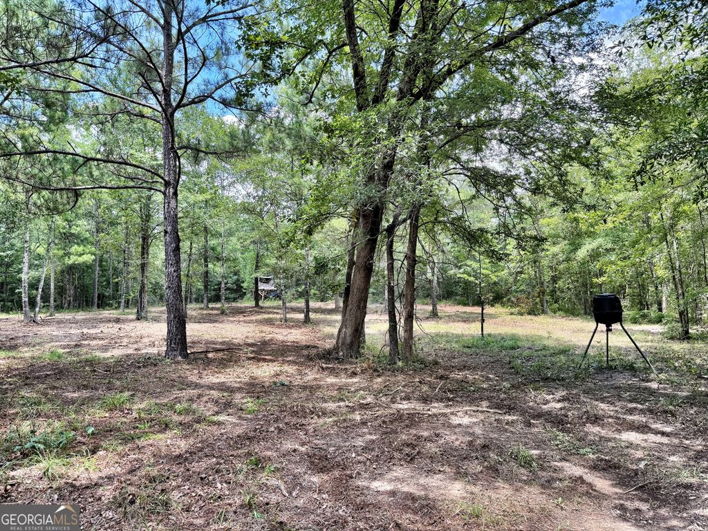 Photo of 1 Us Highway 80 W, Roberta, GA 31078 (MLS # 10807240)