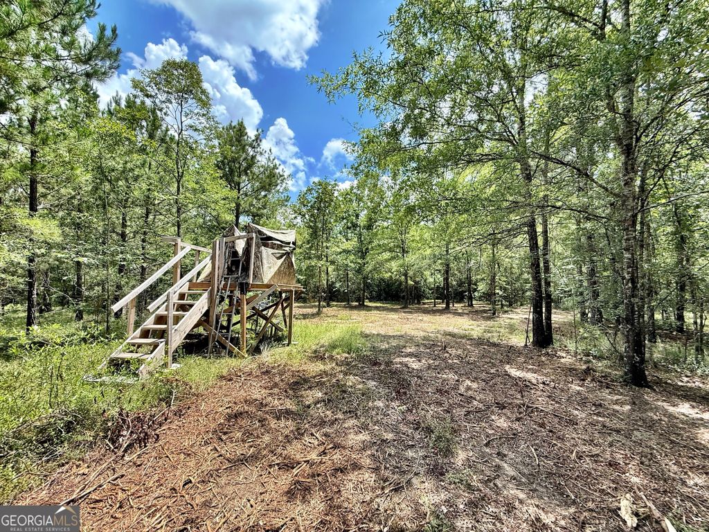 Photo of 1 Us Highway 80 W, Roberta, GA 31078 (MLS # 10807240)