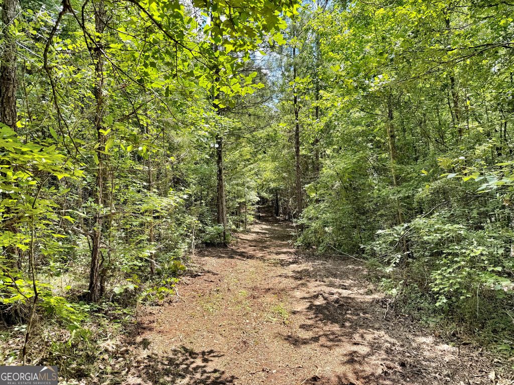Photo of 1 Us Highway 80 W, Roberta, GA 31078 (MLS # 10807240)