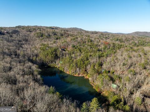 A home in Blue Ridge