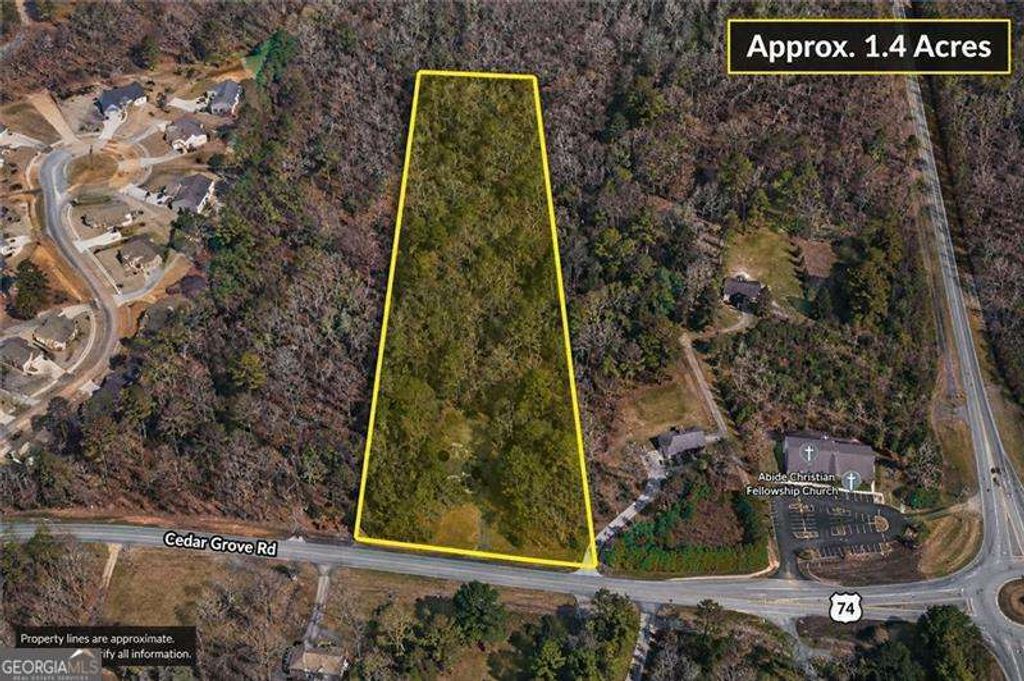 Photo of 8915 Cedar Grove Road, Fairburn, GA 30213 (MLS # 10788353)