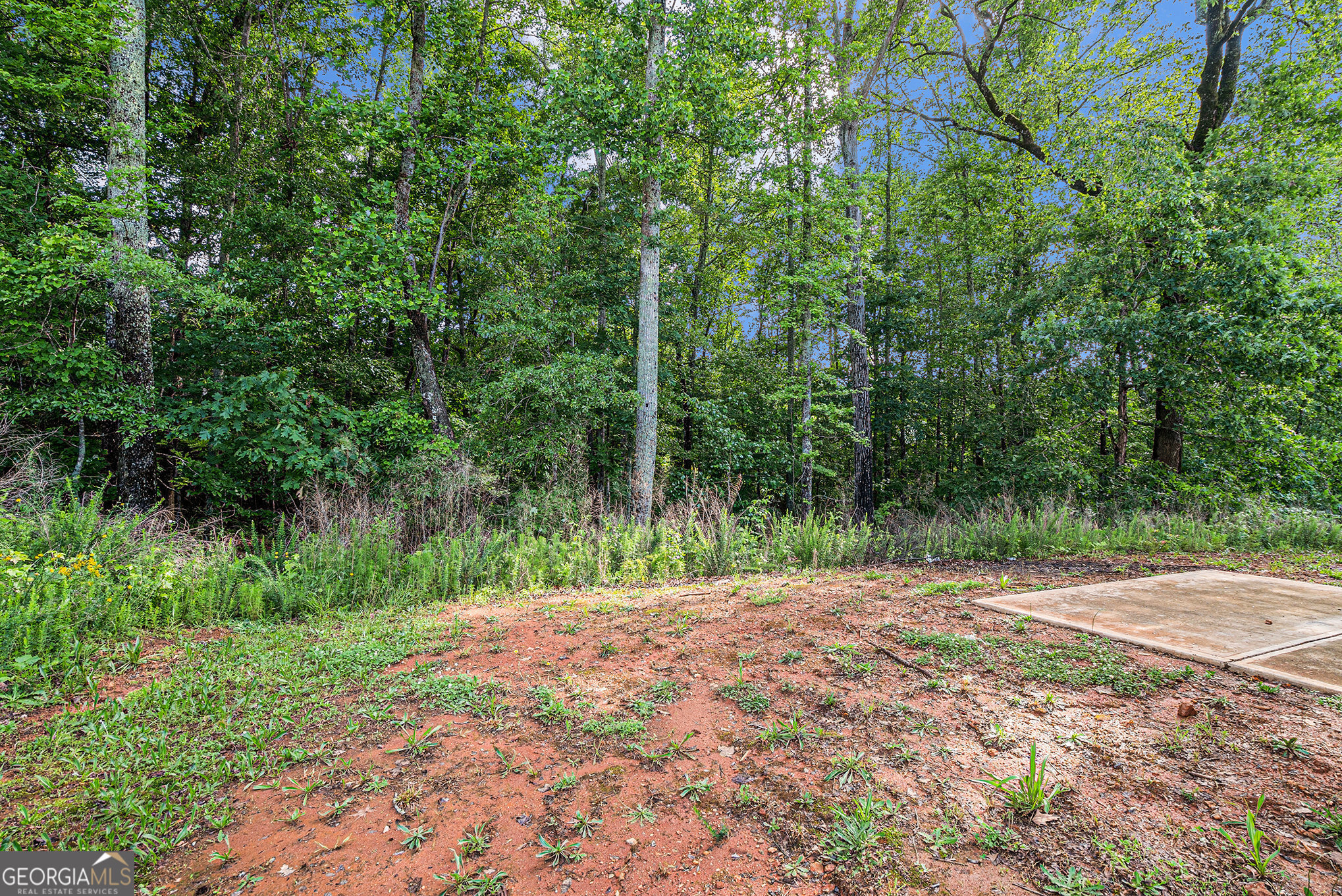 741 Jackson CT