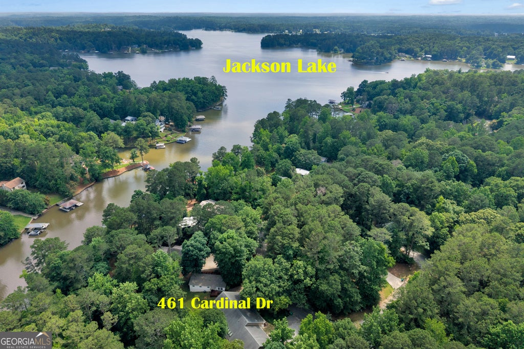 Photo of 461 Cardinal Drive, Monticello, GA 31064 (MLS # 10826903)