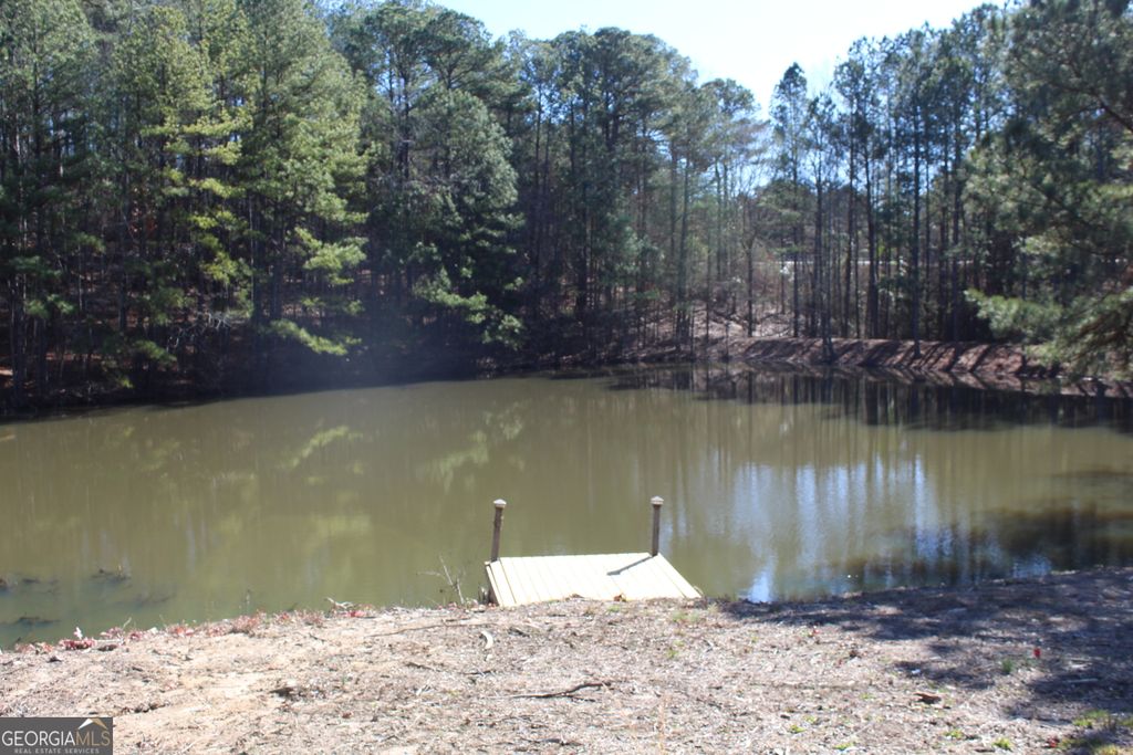 Photo of 218 Franklin Parkway, Franklin, GA 30217 (MLS # 10674606)