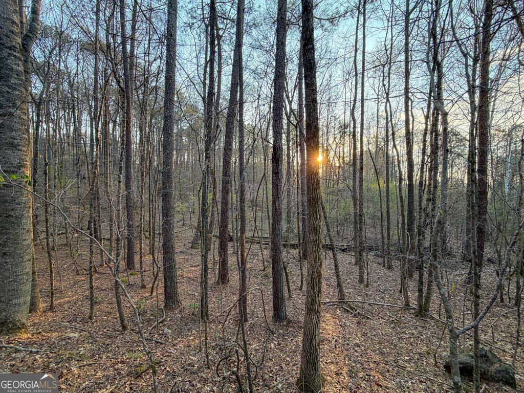 Photo of 83 +/- Acres on US Hwy 27, Franklin, GA 30217 (MLS # 10774845)