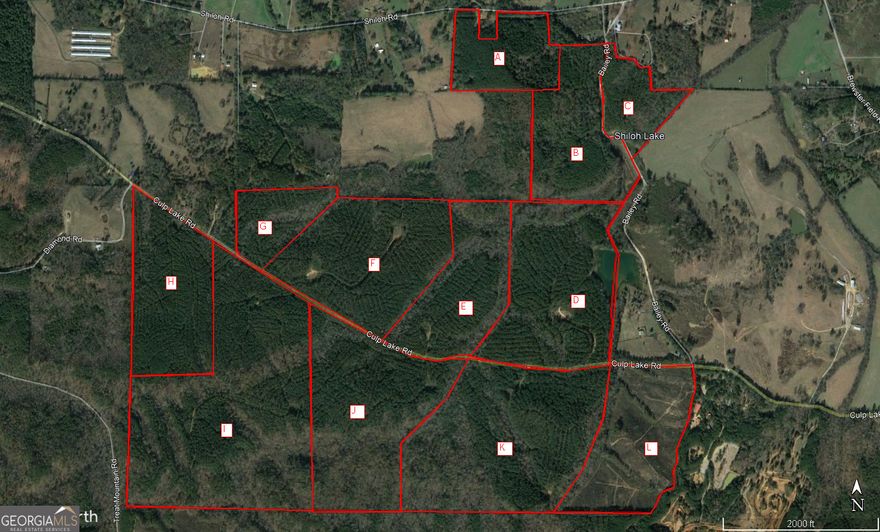 Heavily wooded timber tract in a scenic agricultural area of Polk County, Georgia.  Potential for great views. This parcel is to be divided from a larger tract. In all, 12 parcels are proposed. All parcels must be surveyed at purchaser's expense.  This parcel is sold subject to deed restrictions.
