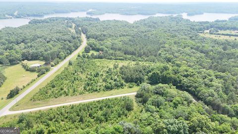 Photo of 0 Pearl Mill Road, Elberton, GA 30635 (MLS # 10534894) Photo of 0 Pearl Mill Road, Elberton, GA 30635 (MLS # 10534894)