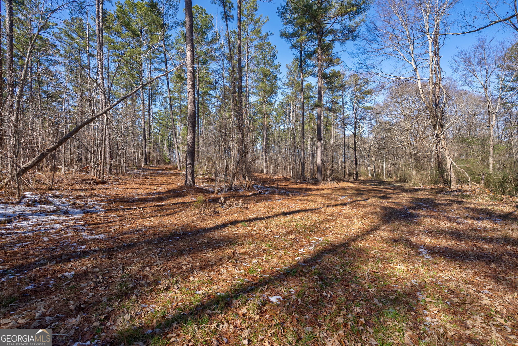 2821 Cole Springs RD