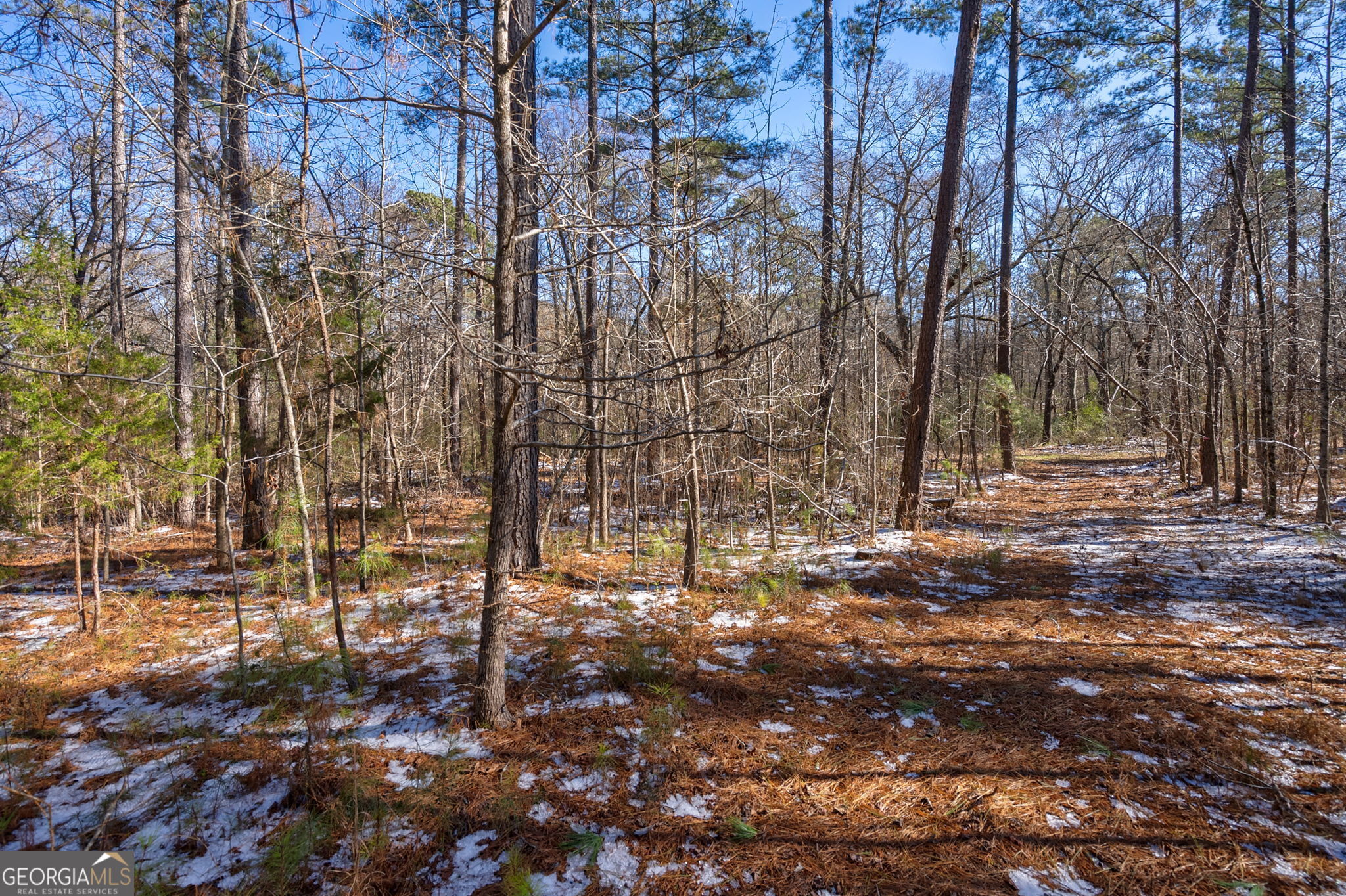 2821 Cole Springs RD