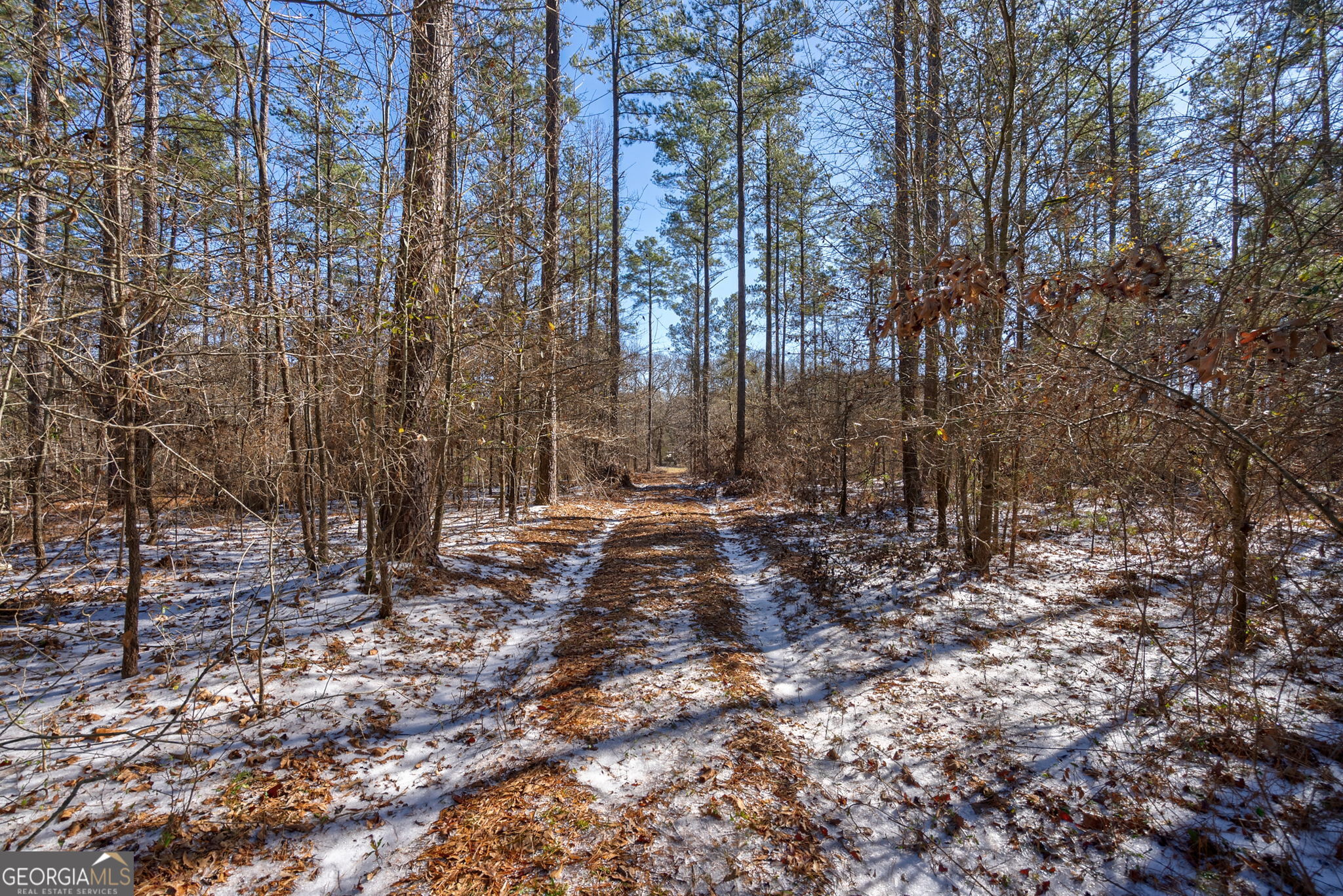 2821 Cole Springs RD