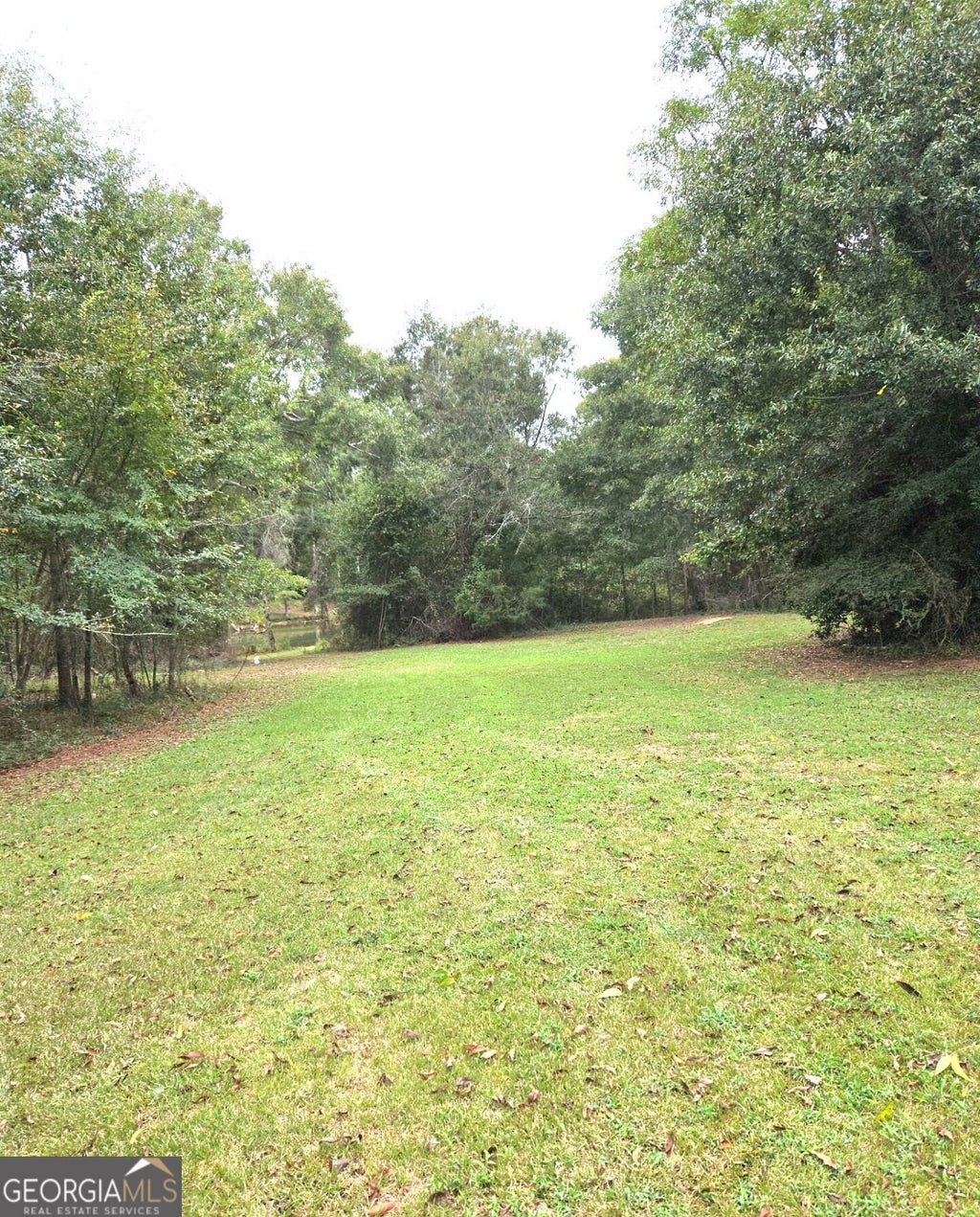 Photo of 319 Powell Drive, Jackson, GA 30233 (MLS # 10870679)
