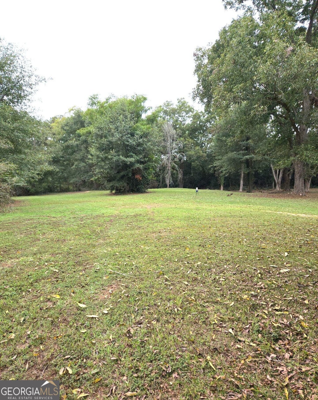 Photo of 319 Powell Drive, Jackson, GA 30233 (MLS # 10870679)