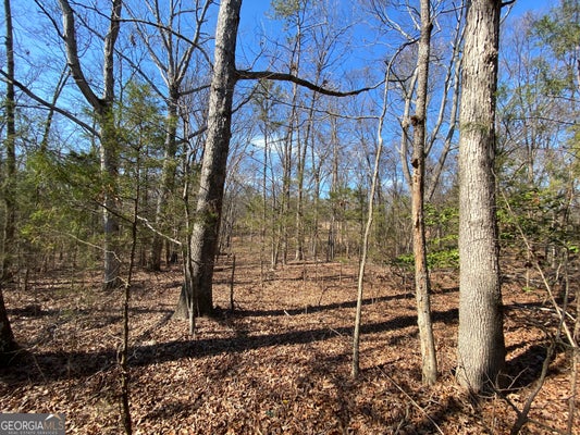 6 MAJESTIC SHORES RD, HARTWELL, GA 30643 - Image 31ab91465f6dcfdf79c3cb2cd8f10026/1772374992