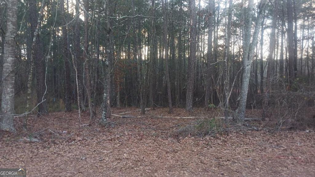 Photo of 130 Harville Road, Covington, GA 30016 (MLS # 10706034)