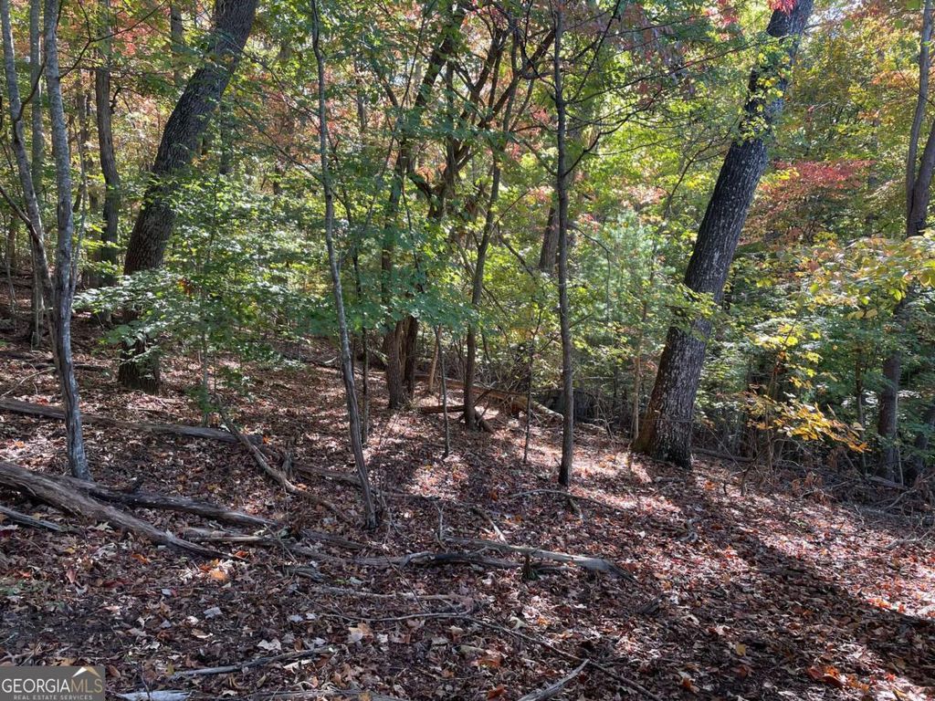 Photo of 4 Covered Bridge Road, Blairsville, GA 30512 (MLS # 10630308)