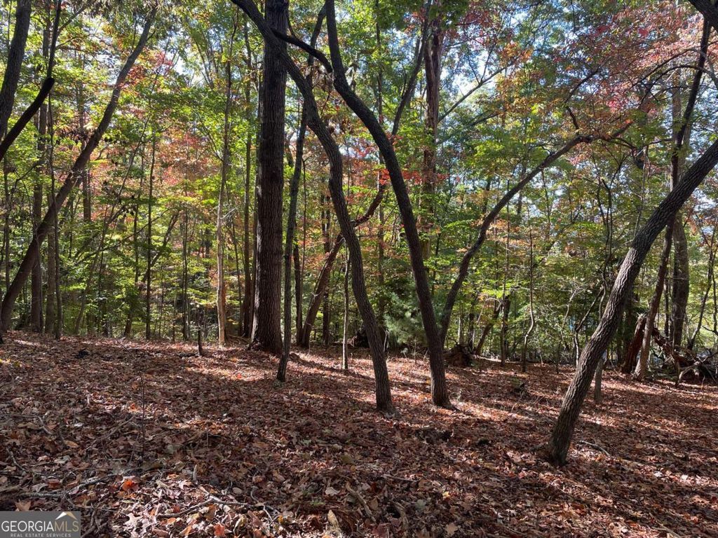 Photo of 4 Covered Bridge Road, Blairsville, GA 30512 (MLS # 10630308)