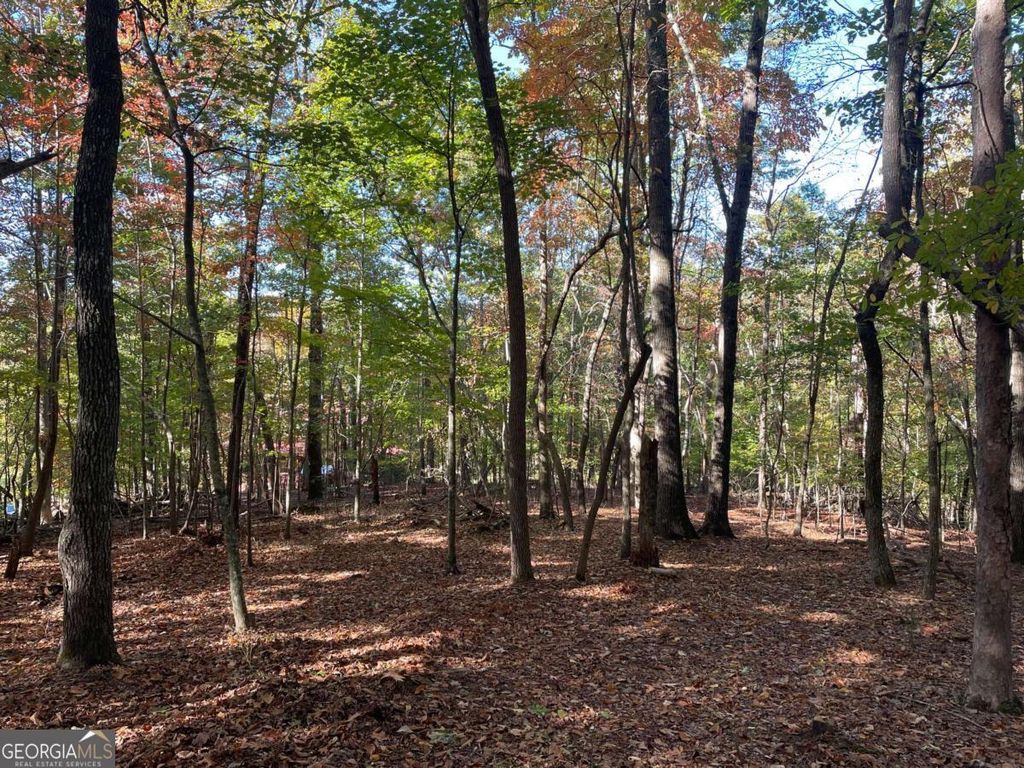 Photo of 4 Covered Bridge Road, Blairsville, GA 30512 (MLS # 10630308)