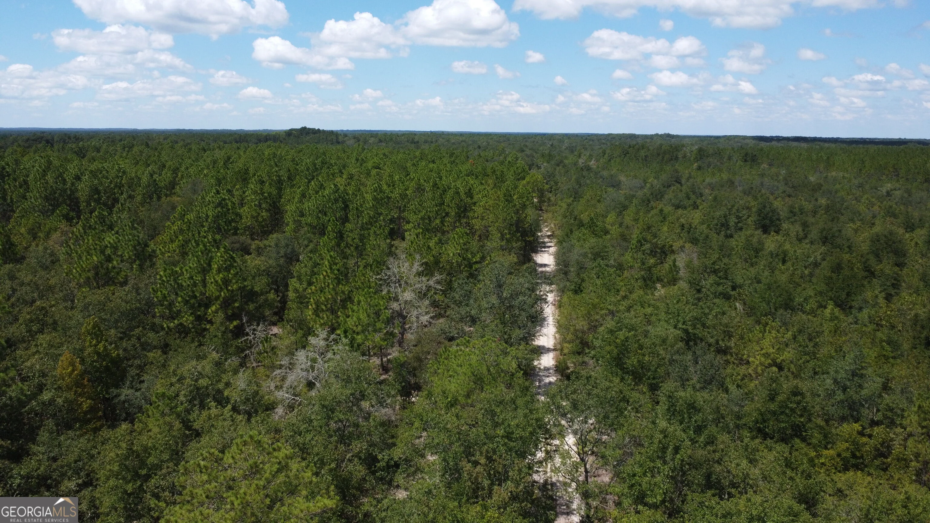 LOT 1 Porter Road, Pembroke, GA, 31321