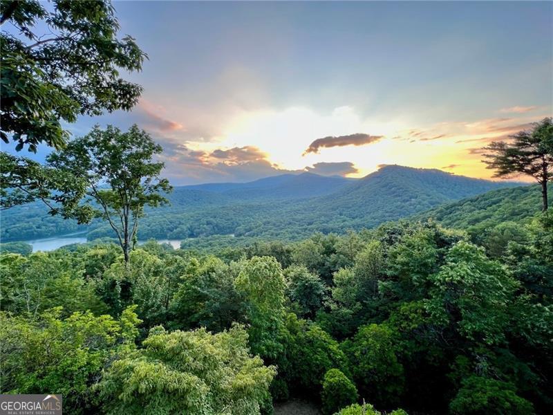 717 Mcelroy Mountain DR