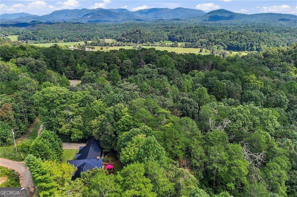 Photo of 230 September Lane, Ellijay, GA 30540 (MLS # 10846997)