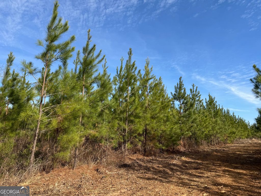 Photo of 15 Dozier Road, Ellaville, GA 31806 (MLS # 10669924)