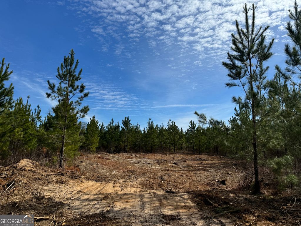 Photo of 15 Dozier Road, Ellaville, GA 31806 (MLS # 10669924)