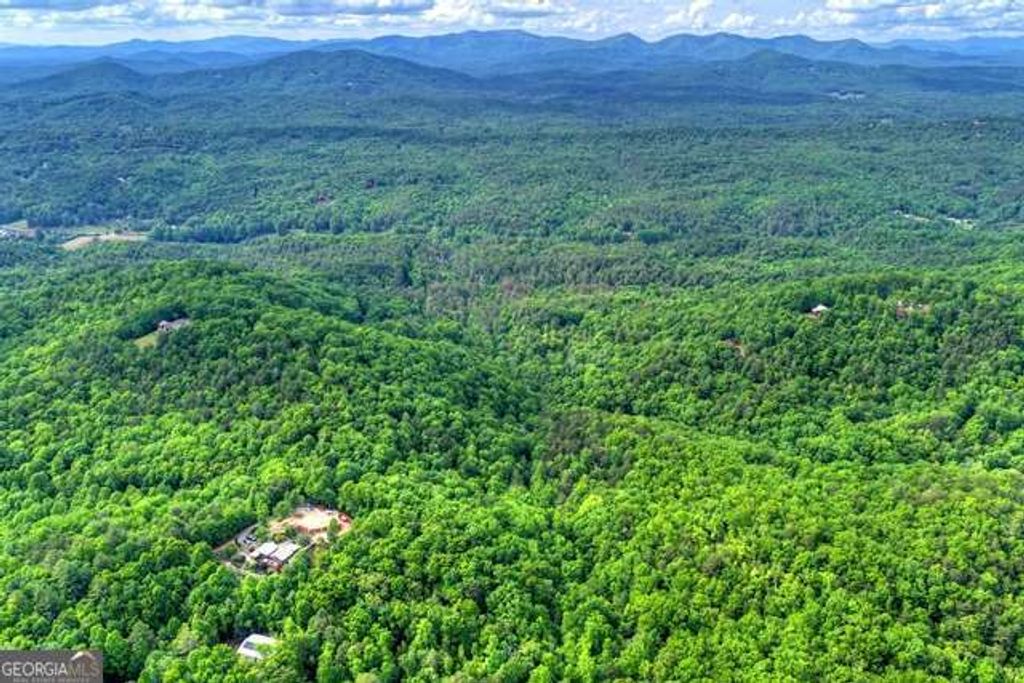 Photo of 284 Black Dog Trail, Morganton, GA 30540 (MLS # 10764622)