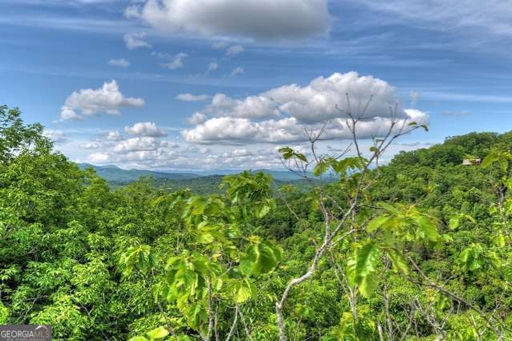 Photo of 284 Black Dog Trail, Morganton, GA 30540 (MLS # 10764622)
