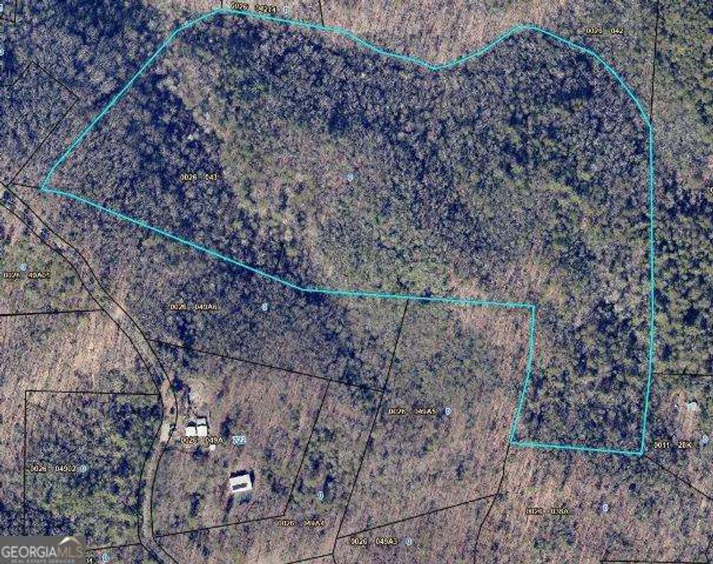 Photo of 284 Black Dog Trail, Morganton, GA 30540 (MLS # 10764622)