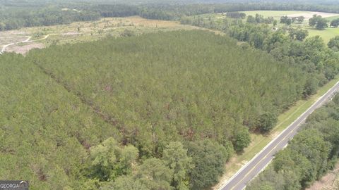 Photo of 0 Hendrix Bridge Road, Claxton, GA 30417 (MLS # 10793653)