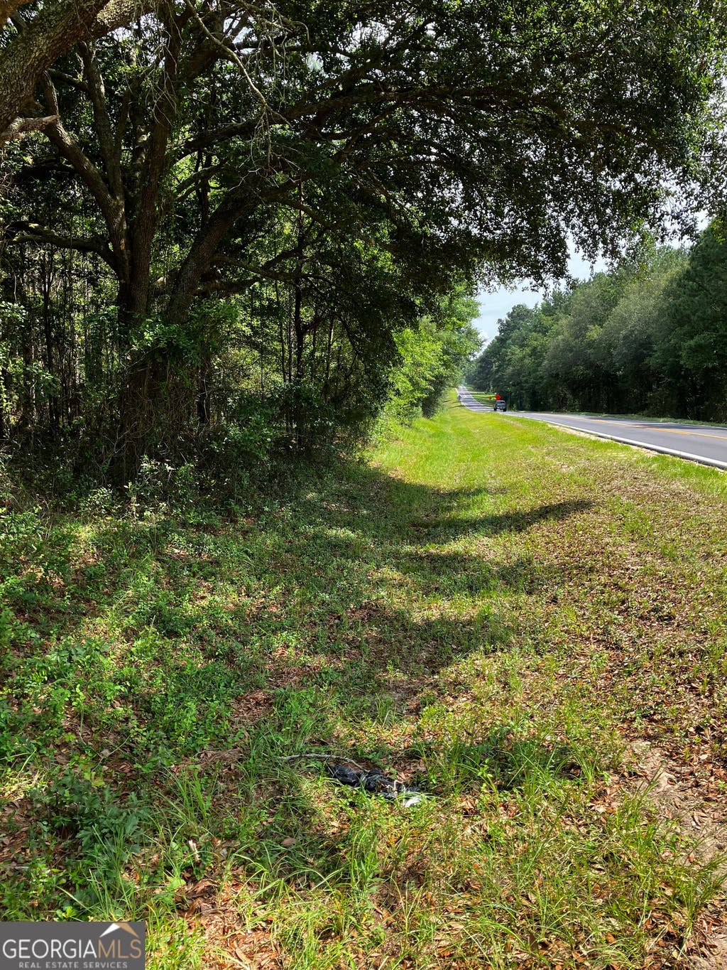Photo of 0 Hendrix Bridge Road, Claxton, GA 30417 (MLS # 10793653)