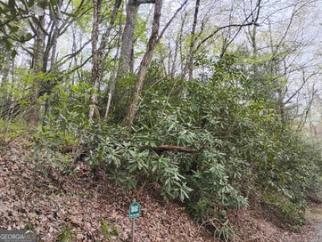 0 Rebel Circle LOT 39 Sky Valley GA 30537