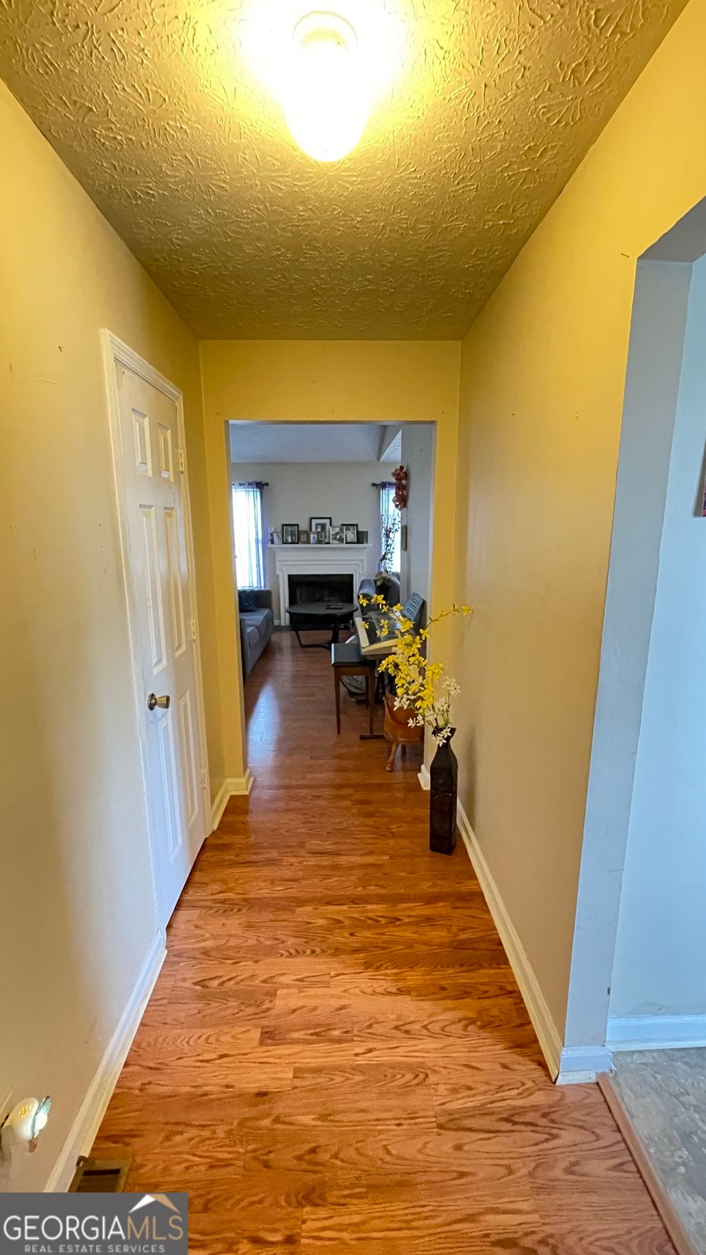 Photo of 4276 Catalpa Park, Ellenwood, GA 30294 (MLS # 10775011)