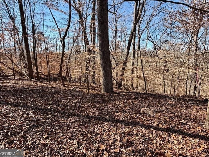 Photo 1 of 7 — 0 Arrowhead CT 227, Lavonia, GA 30553