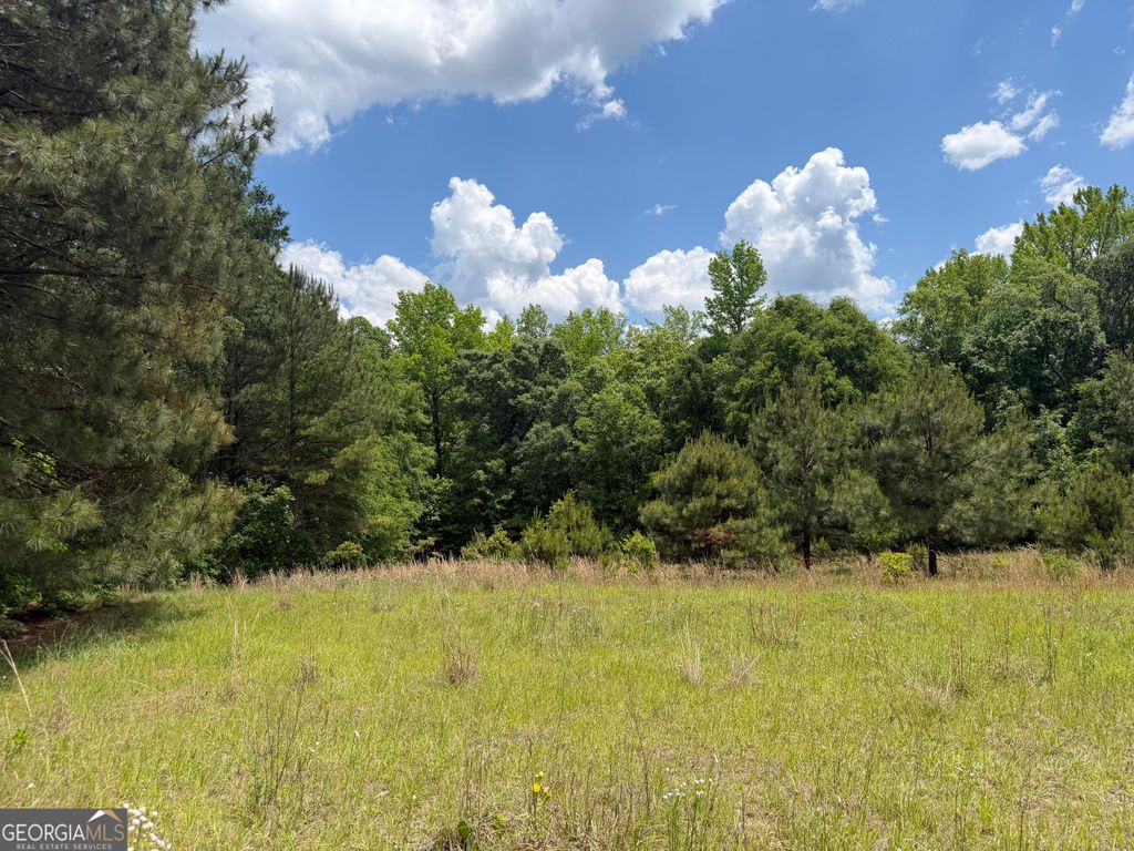 Photo of 10 Long Branch Rd, Toomsboro, GA 31090 (MLS # 10769724)