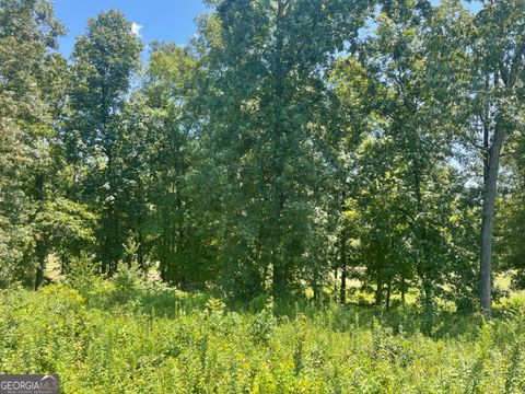 Photo of 11 Oak Drive, Hawkinsville, GA 31036 (MLS # 10544528)