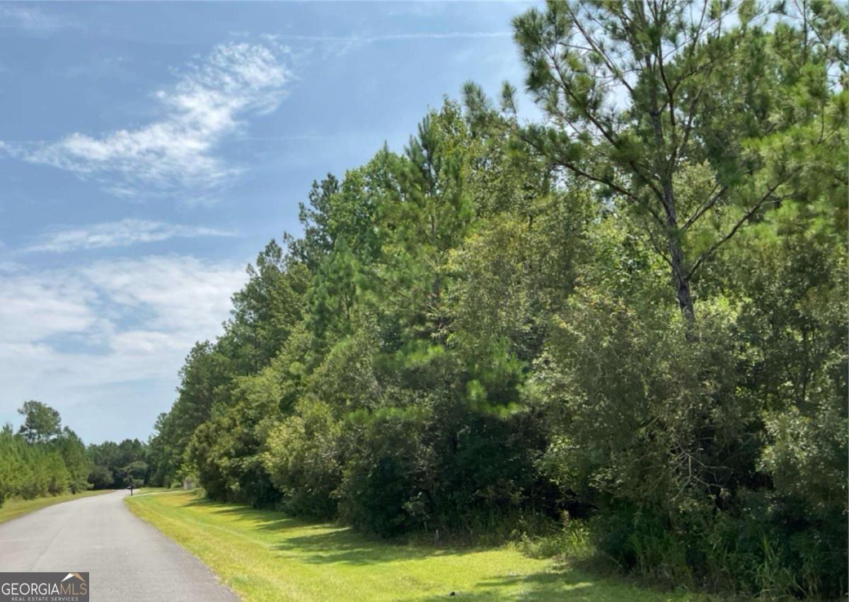 1.57 Acres in Tuscan Landing - Gated Waterfront Community in Northern Camden County Come see this beautiful 1.57-acre lot in the peaceful, gated community of Tuscan Landing-an ideal spot to build your custom dream home. Located on the Georgia coast with direct access to the Intracoastal Waterway and Atlantic Ocean via Gowrie Creek and the Little Satilla River (fixed bridge clearance of 15'), this community is perfect for boaters and outdoor lovers. Enjoy top-notch neighborhood amenities including a community boat launch, dock, fish cleaning station, playground, picnic pavilion, and sports field. Water is available, and covenants require a minimum 2,200 sq ft site-built home-no mobile homes, campers, or trailers allowed. Conveniently located near I-95, just a short drive to Brunswick, Kings Bay Naval Base, the beaches of Fernandina, and Jacksonville International Airport. Don't miss this rare opportunity to live in a private coastal community with access to both nature and nearby city conveniences.