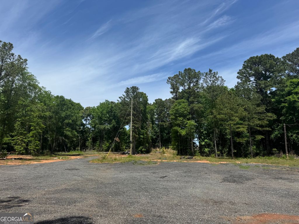 Photo of 1079 S Highway 87, Flovilla, GA 30216 (MLS # 10756501)