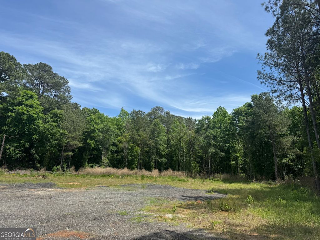 Photo of 1079 S Highway 87, Flovilla, GA 30216 (MLS # 10756501)