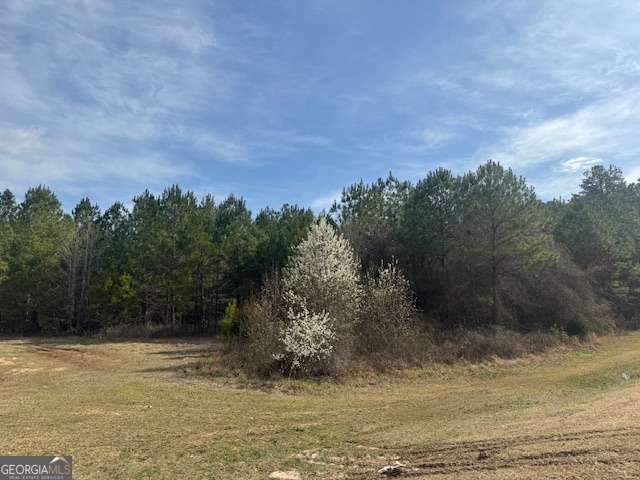 39 Brush Creek Park RD