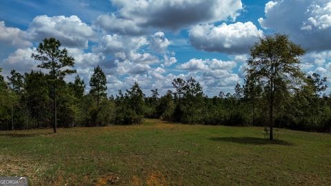 1 Harrell Road Parrott GA 39877