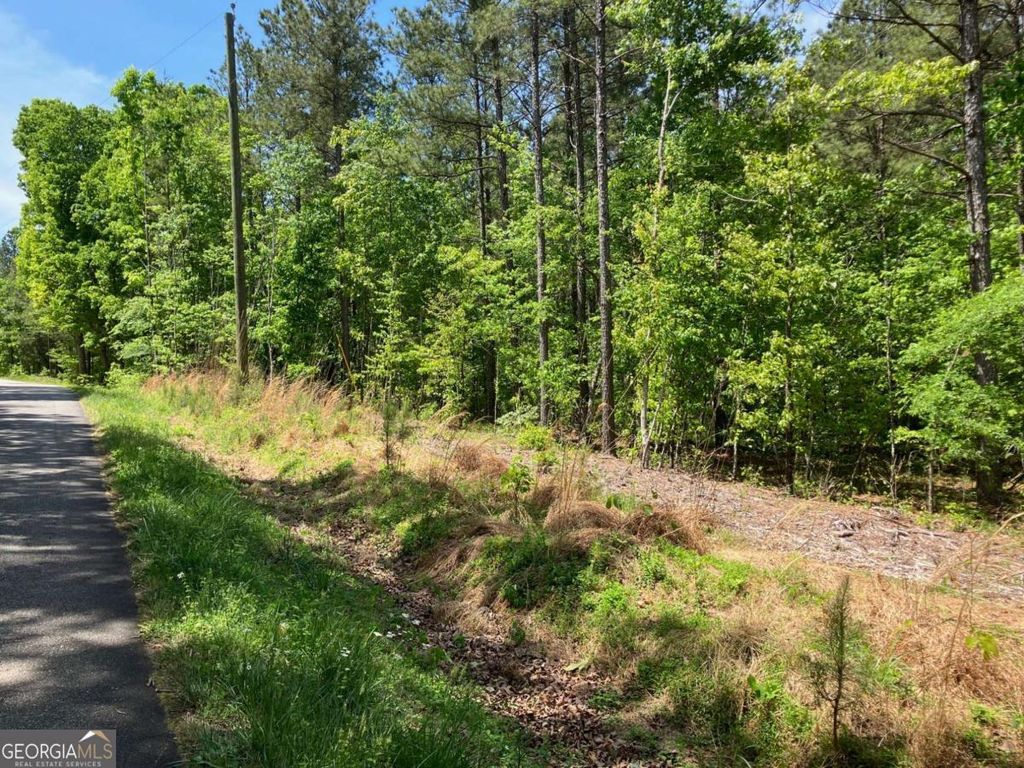 Photo of 325 Rock Fence Road NW, Adairsville, GA 30103 (MLS # 10738166)